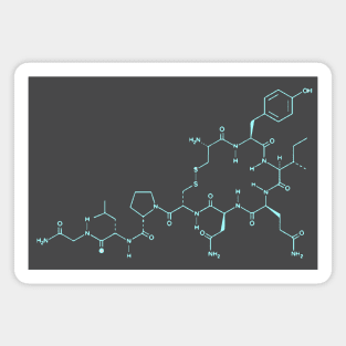 Oxytocin The love hormone Magnet